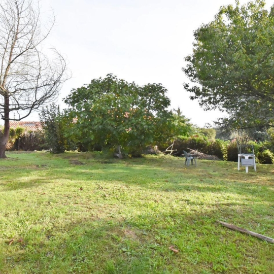  CMP SOLUTION : Ground | HASPARREN (64240) | 527 m2 | 77 000 € 