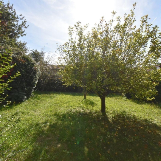  CMP SOLUTION : Ground | HASPARREN (64240) | 527 m2 | 77 000 € 