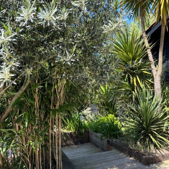  CMP SOLUTION : Maison / Villa | ANDERNOS-LES-BAINS (33510) | 160 m2 | 1 225 700 € 