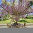  CMP SOLUTION : Maison / Villa | ORTHEZ (64300) | 148 m2 | 210 000 € 
