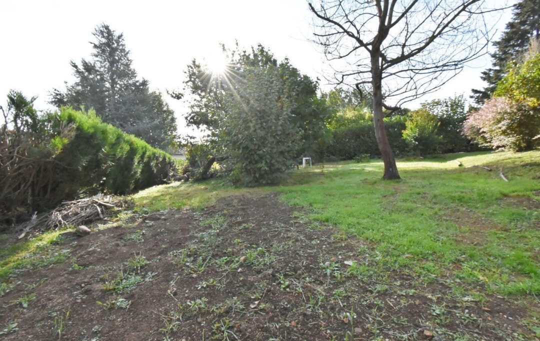CMP SOLUTION : Ground | HASPARREN (64240) | 527 m2 | 77 000 € 