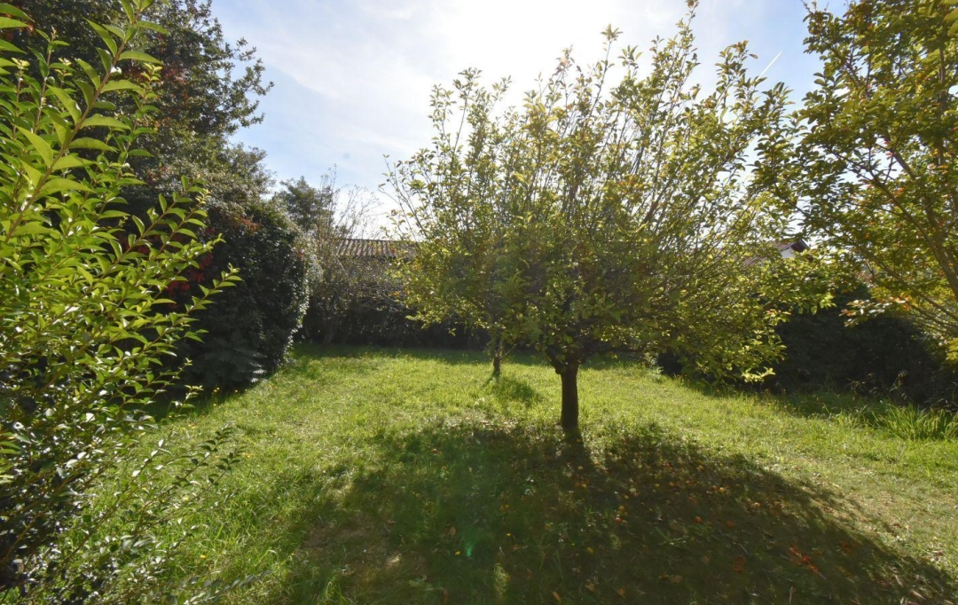 CMP SOLUTION : Ground | HASPARREN (64240) | 527 m2 | 77 000 € 