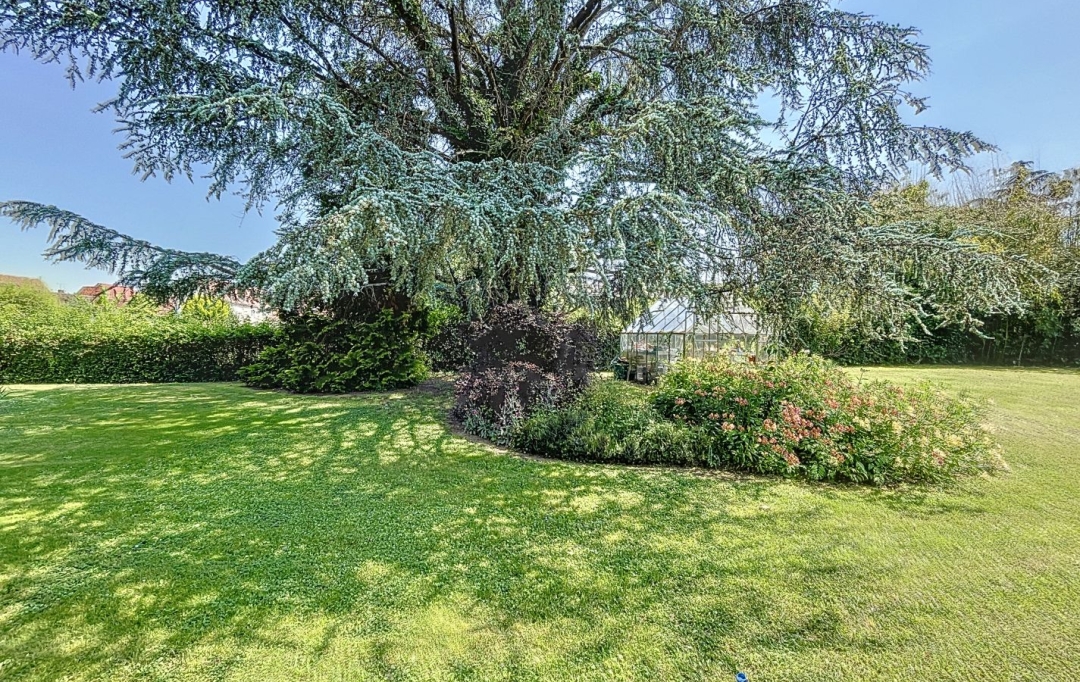 CMP SOLUTION : House | MASLACQ (64300) | 195 m2 | 329 000 € 