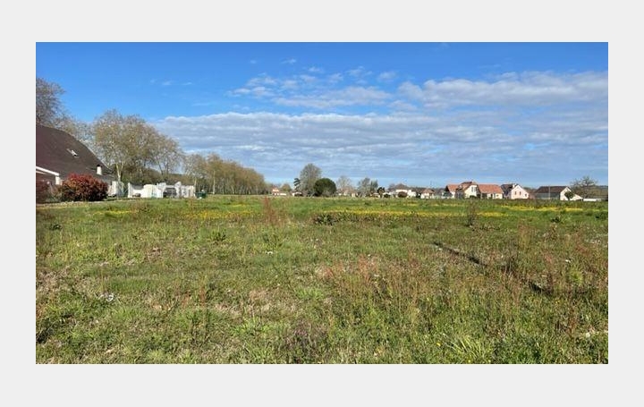 Terrain CASTETIS 35 000 € Terrain CASTETIS 35 000 €