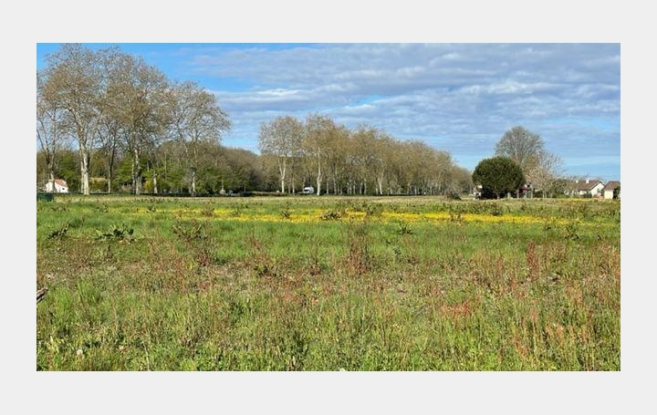 Terrain CASTETIS 35 000 € Terrain CASTETIS 35 000 €